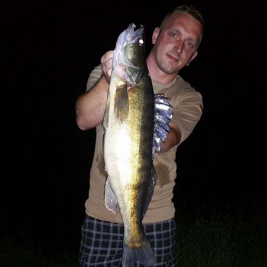 Zander