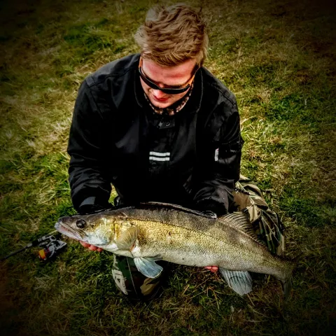 Zander