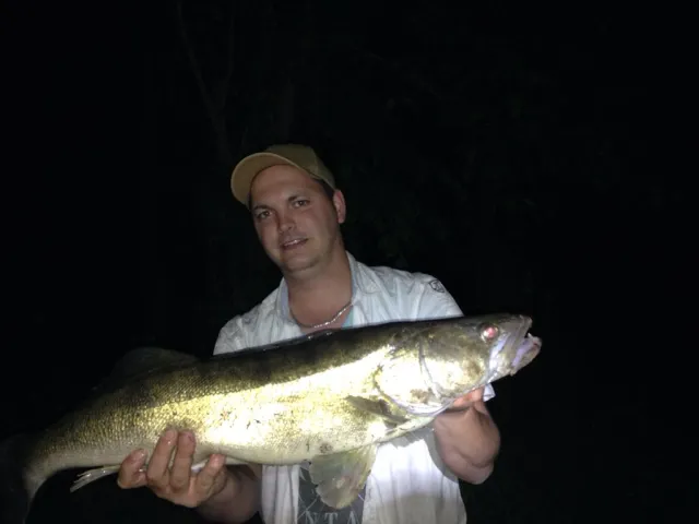 Zander