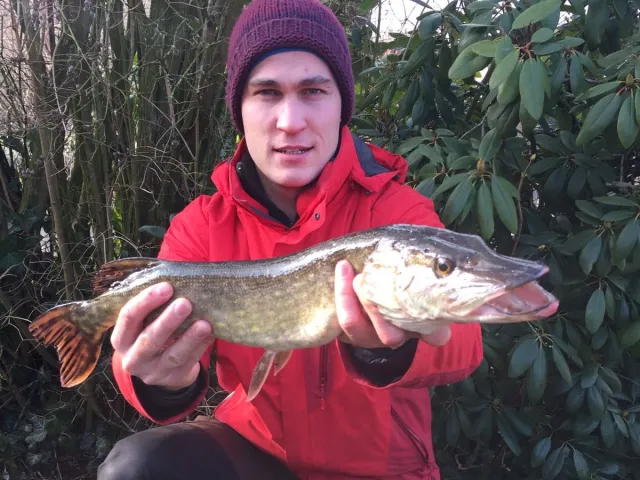 Hecht
