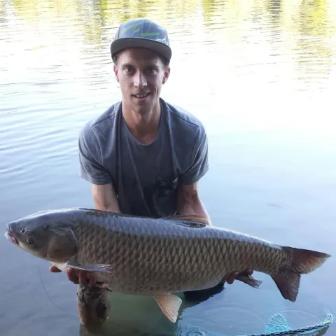 Graskarpfen