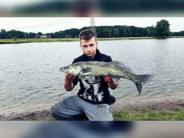 Zander