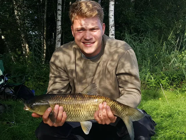 Graskarpfen