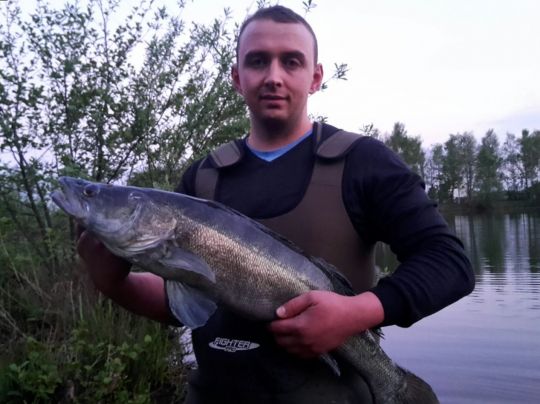 Zander