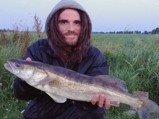 Zander