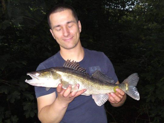 Zander
