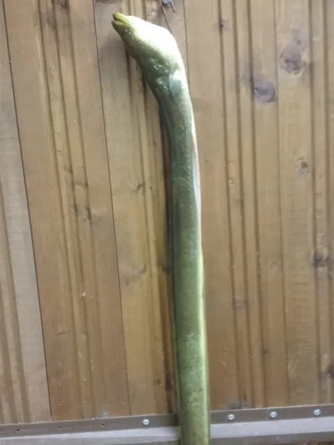 Aal