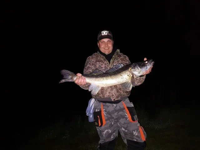 Zander