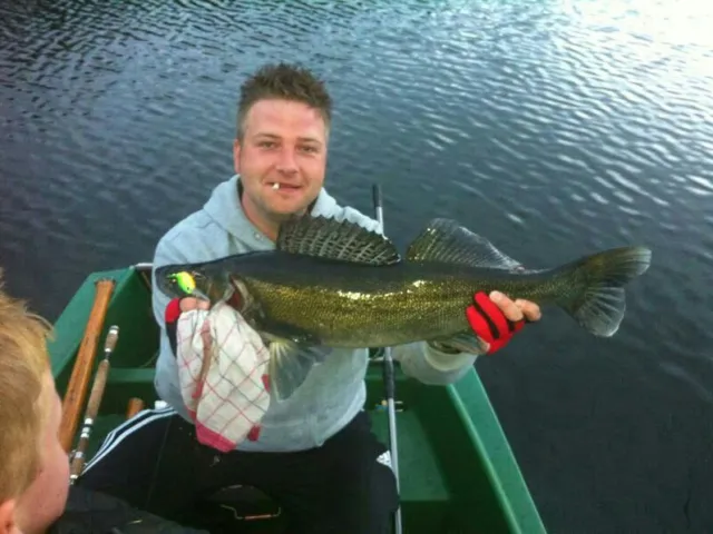 Zander