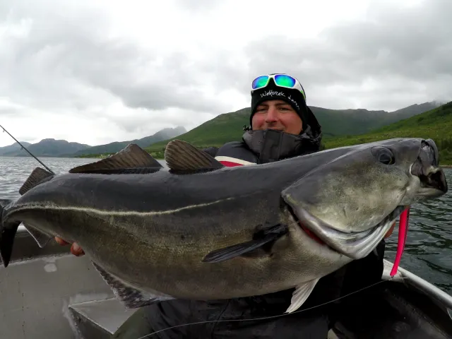 Köhler