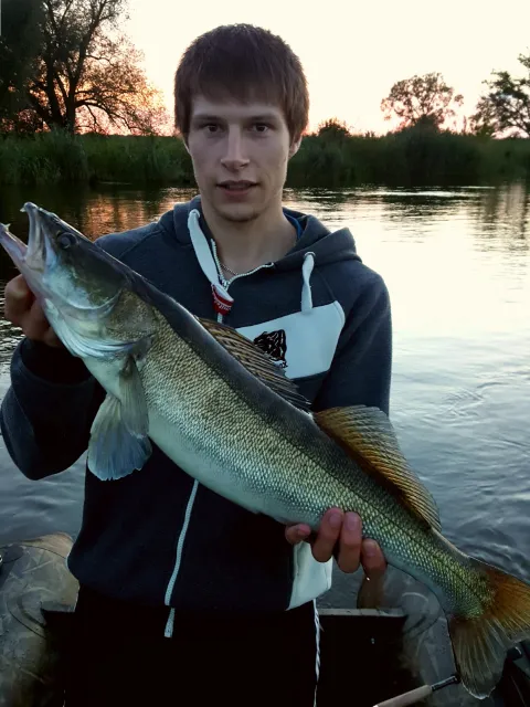 Zander