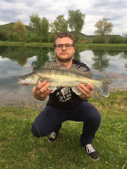 Zander