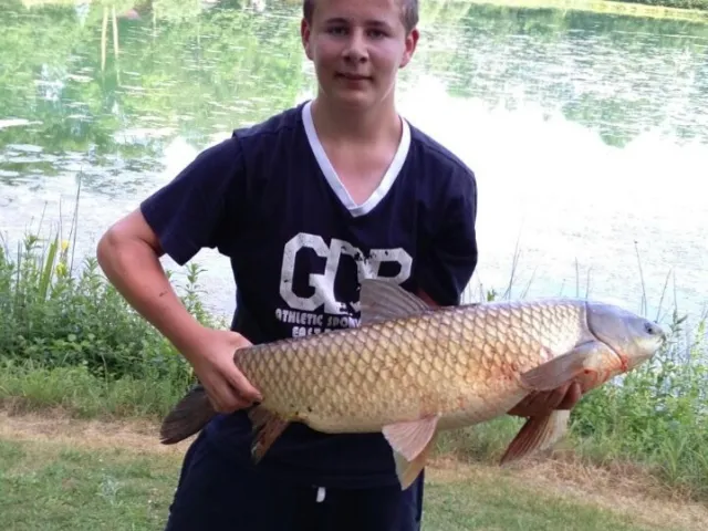 Graskarpfen
