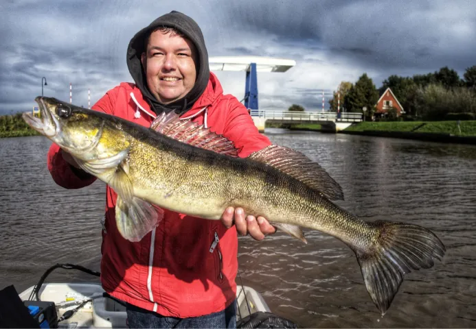 Zander