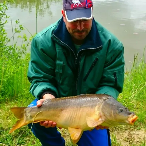 Karpfen