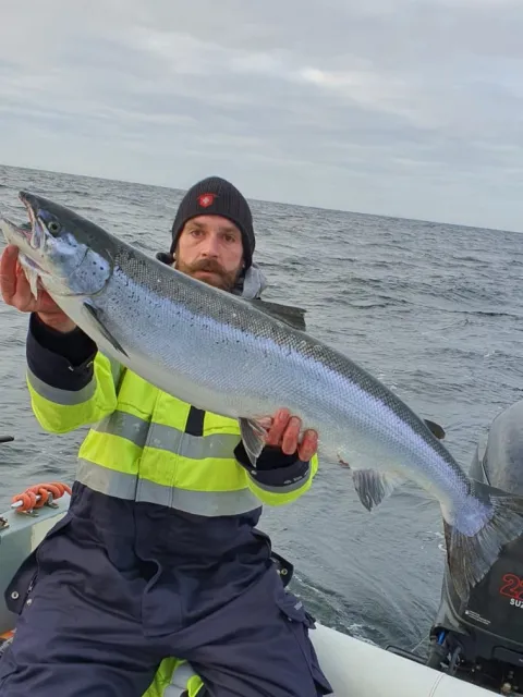 Lachs