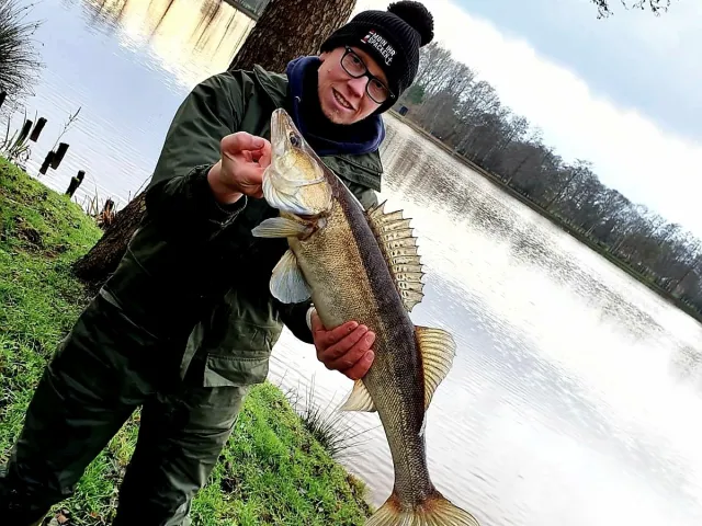 Zander