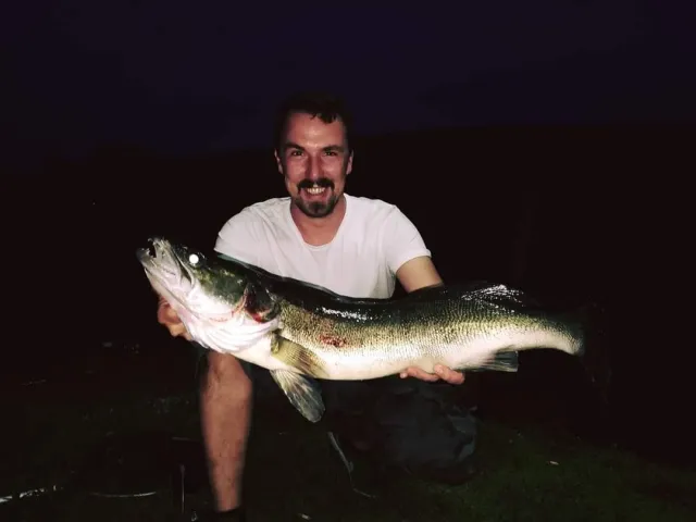 Zander