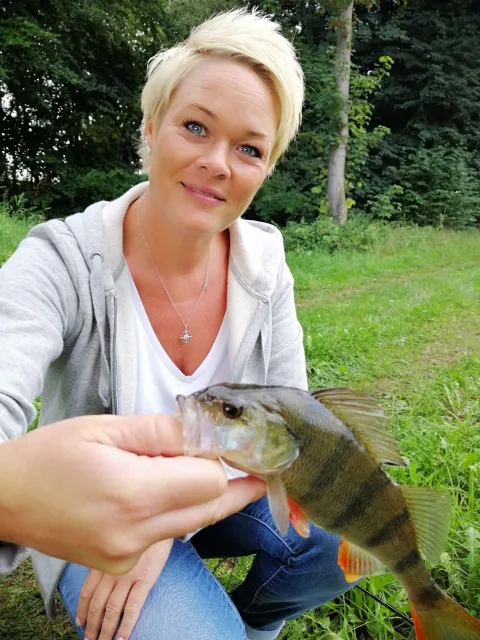 Flussbarsch