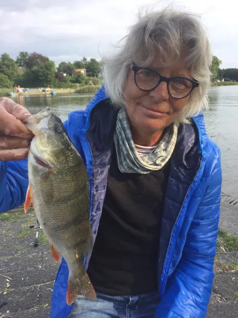 Flussbarsch