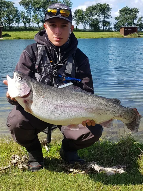Regenbogenforelle
