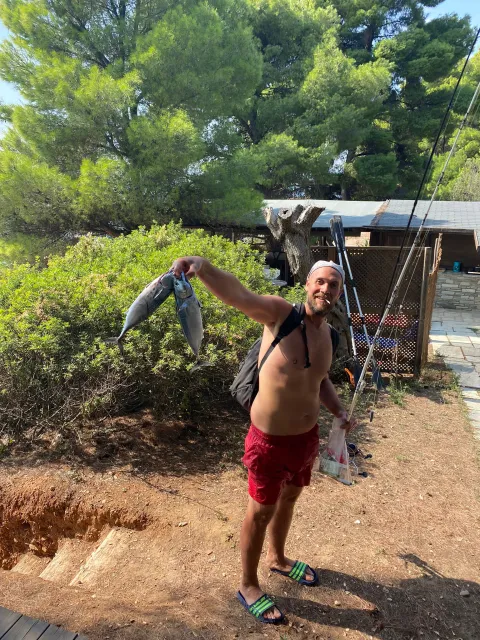 Bonito