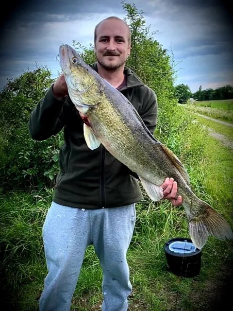 Zander