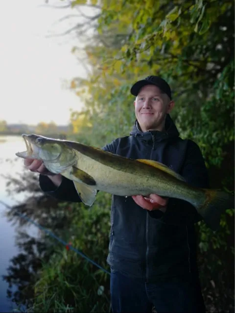 Zander