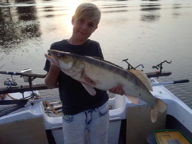 Zander