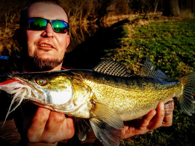 Zander