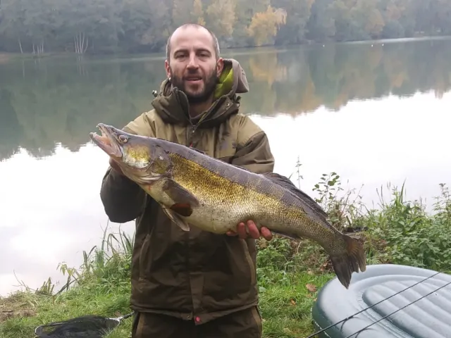 Zander