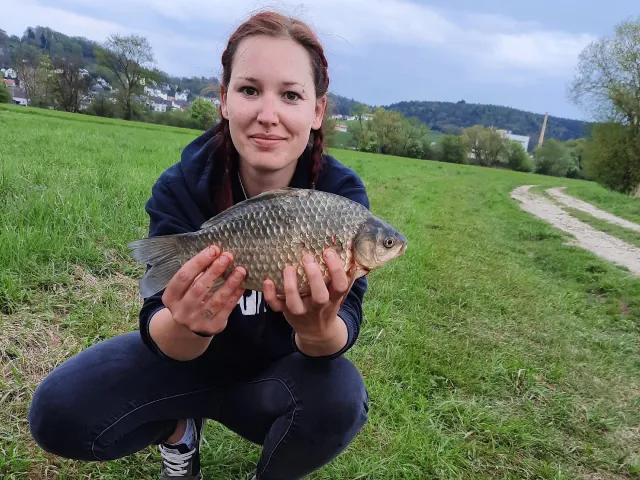 Giebel