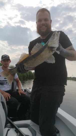 Zander