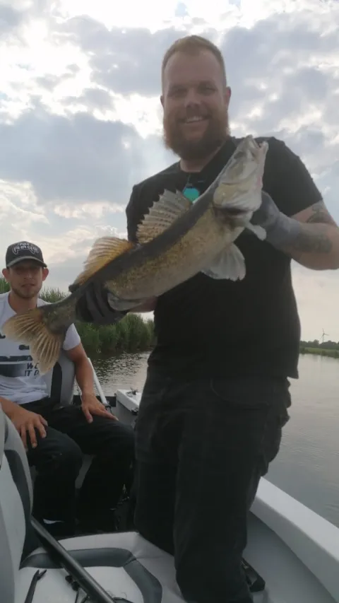 Zander