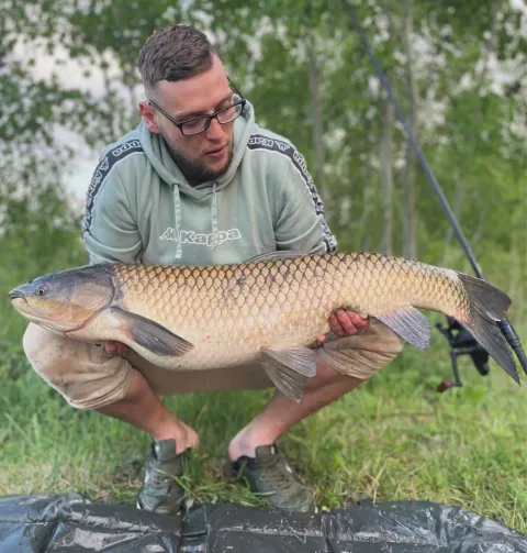Graskarpfen