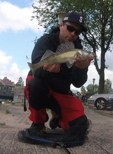 Zander