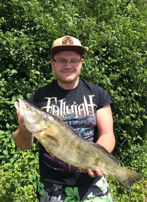Zander
