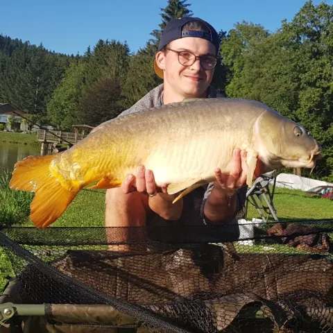 Karpfen