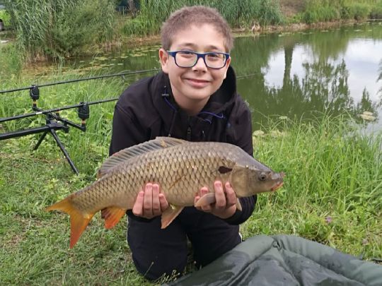 Karpfen