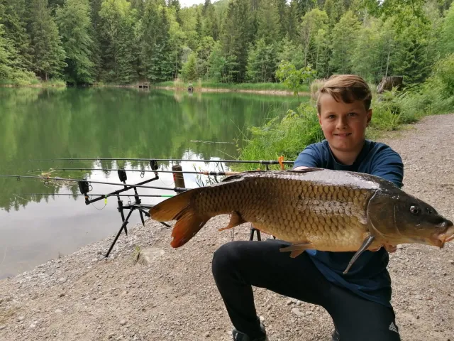 Karpfen