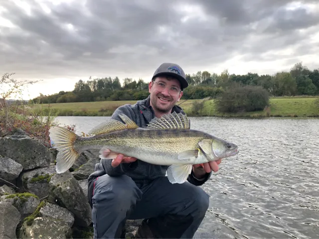 Zander