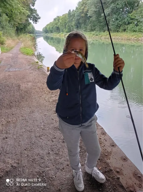Flussbarsch