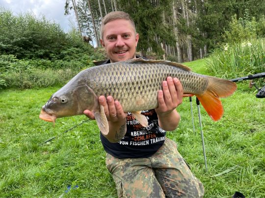 Karpfen