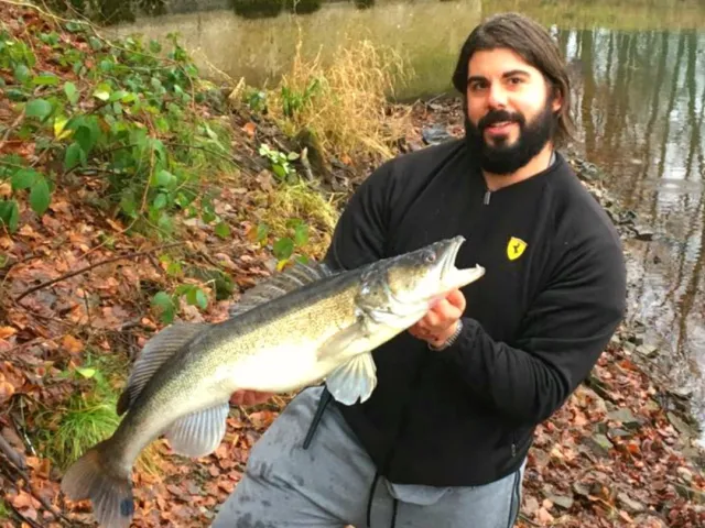 Zander