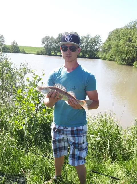 Zander