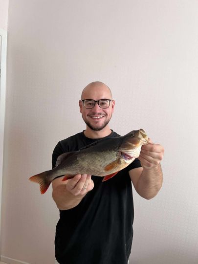 Flussbarsch