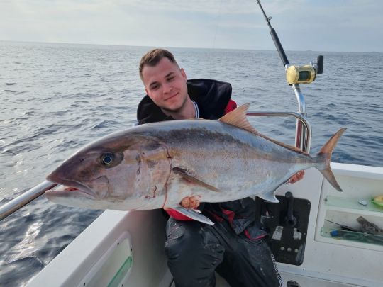 Amberjack