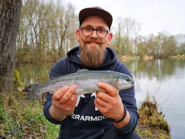 Regenbogenforelle