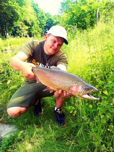 Regenbogenforelle