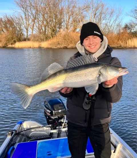 Zander